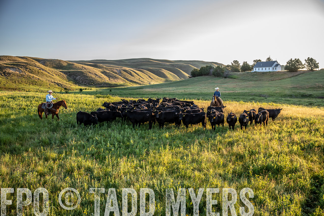 PP_TuckerRanch_NE_July2019-40995