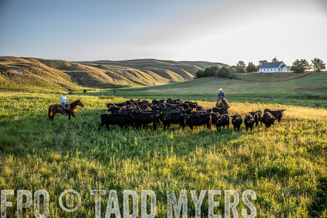 PP_TuckerRanch_NE_July2019-40998