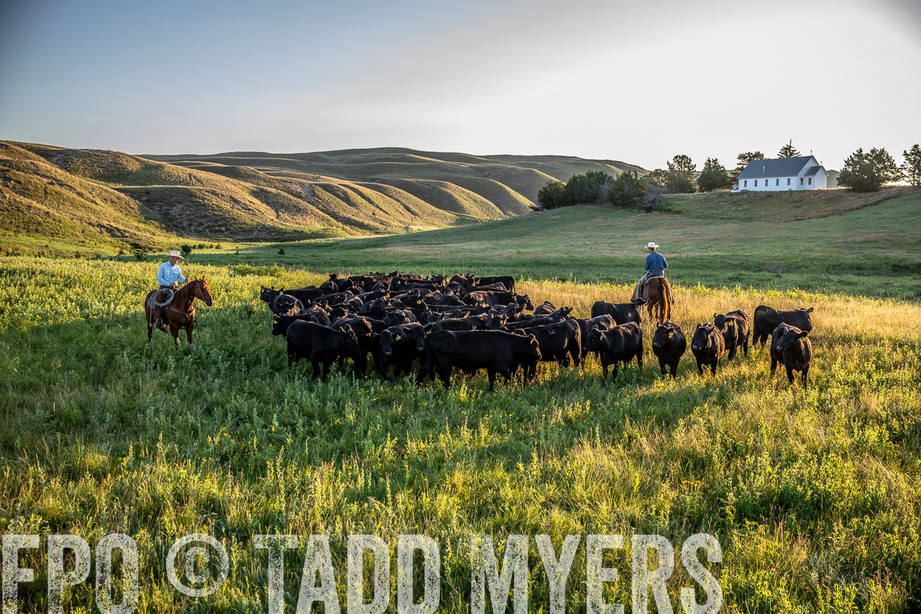 PP_TuckerRanch_NE_July2019-41004