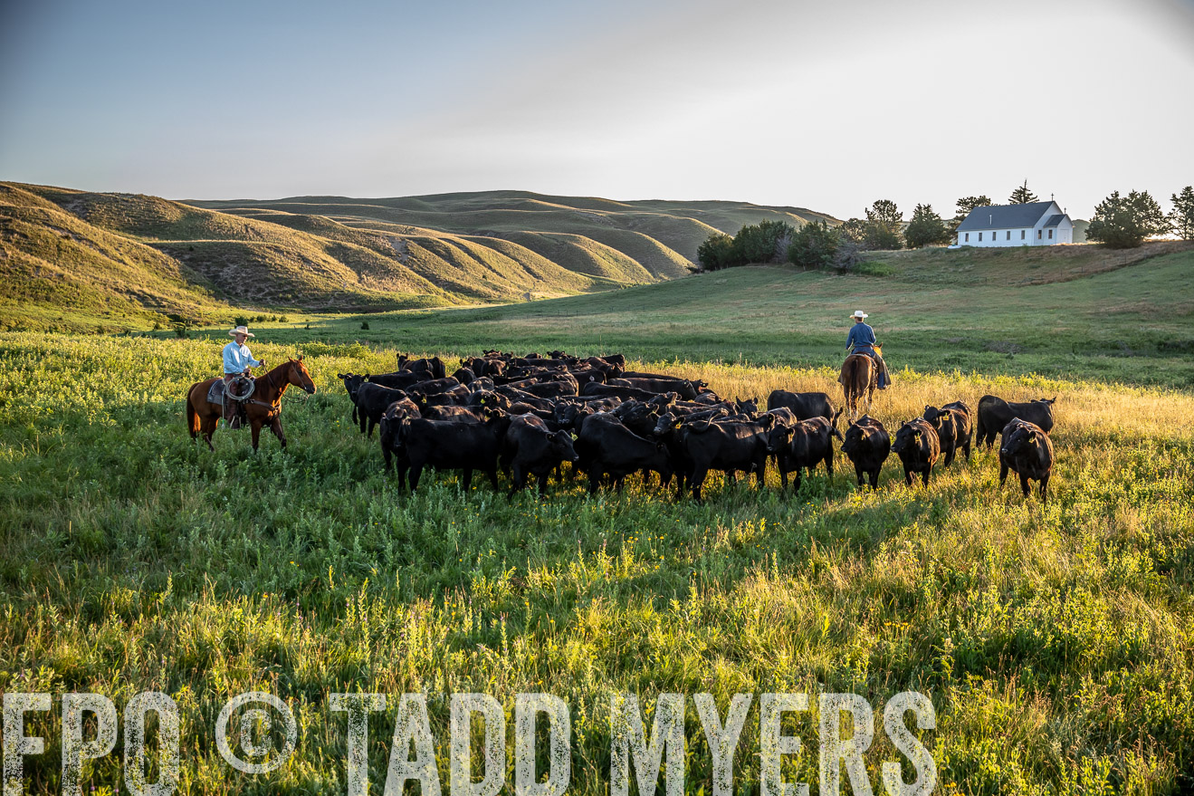 PP_TuckerRanch_NE_July2019-41007