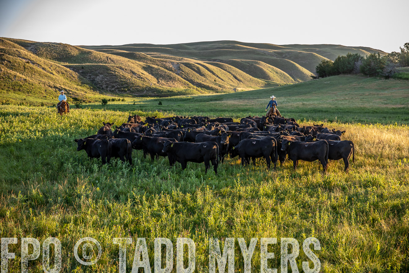PP_TuckerRanch_NE_July2019-41015