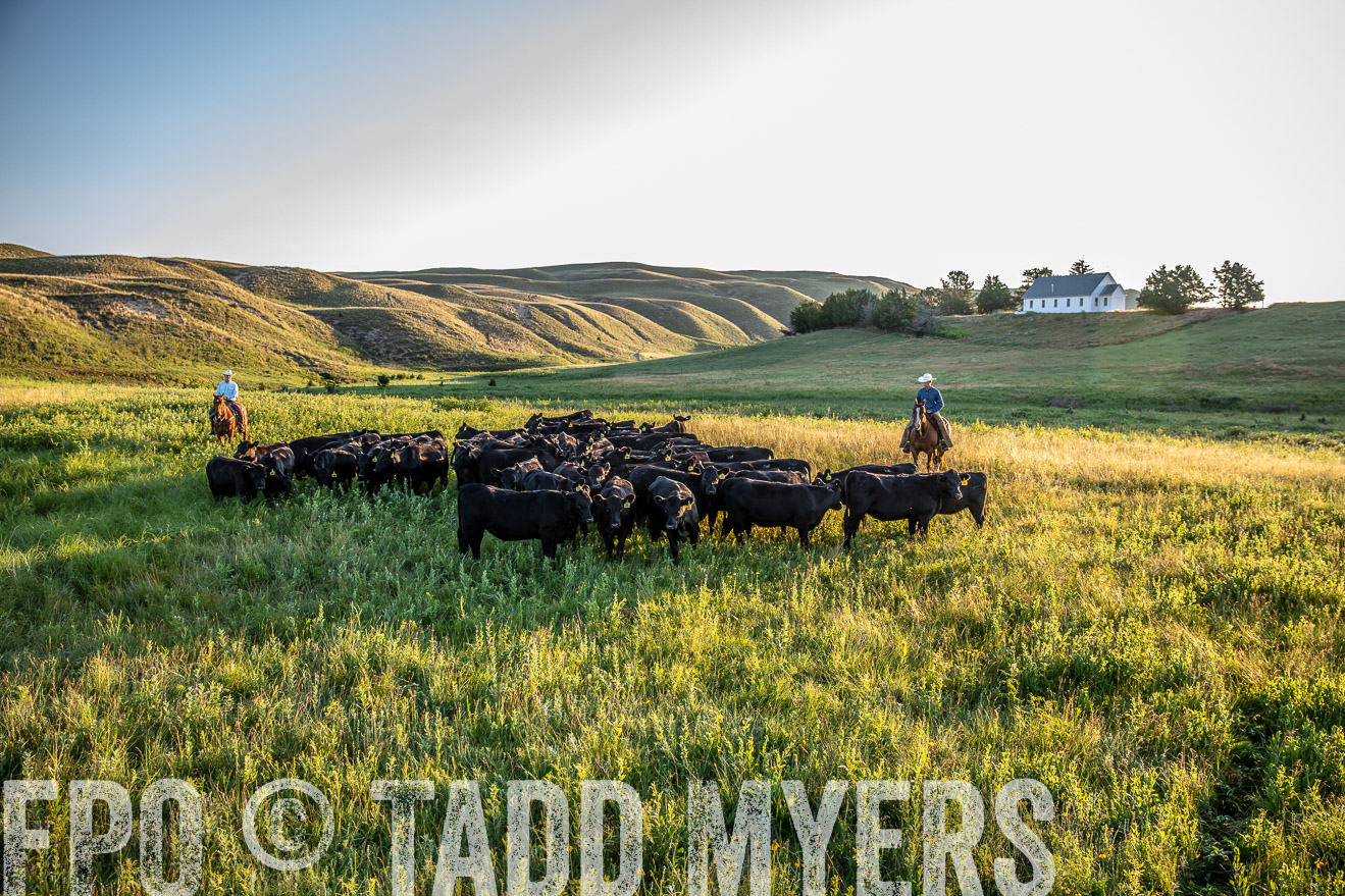 PP_TuckerRanch_NE_July2019-41060