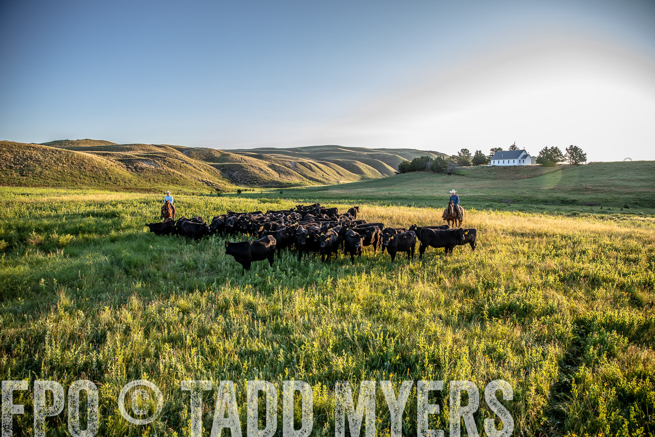 PP_TuckerRanch_NE_July2019-41067