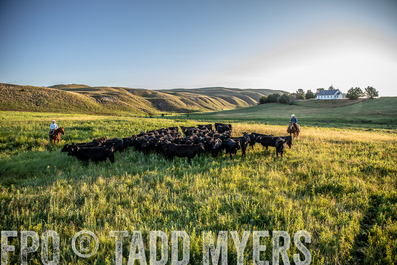 PP_TuckerRanch_NE_July2019-41082
