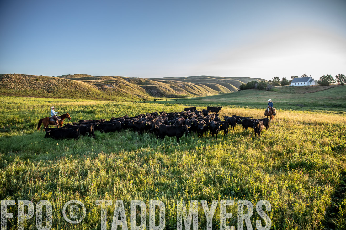 PP_TuckerRanch_NE_July2019-41094