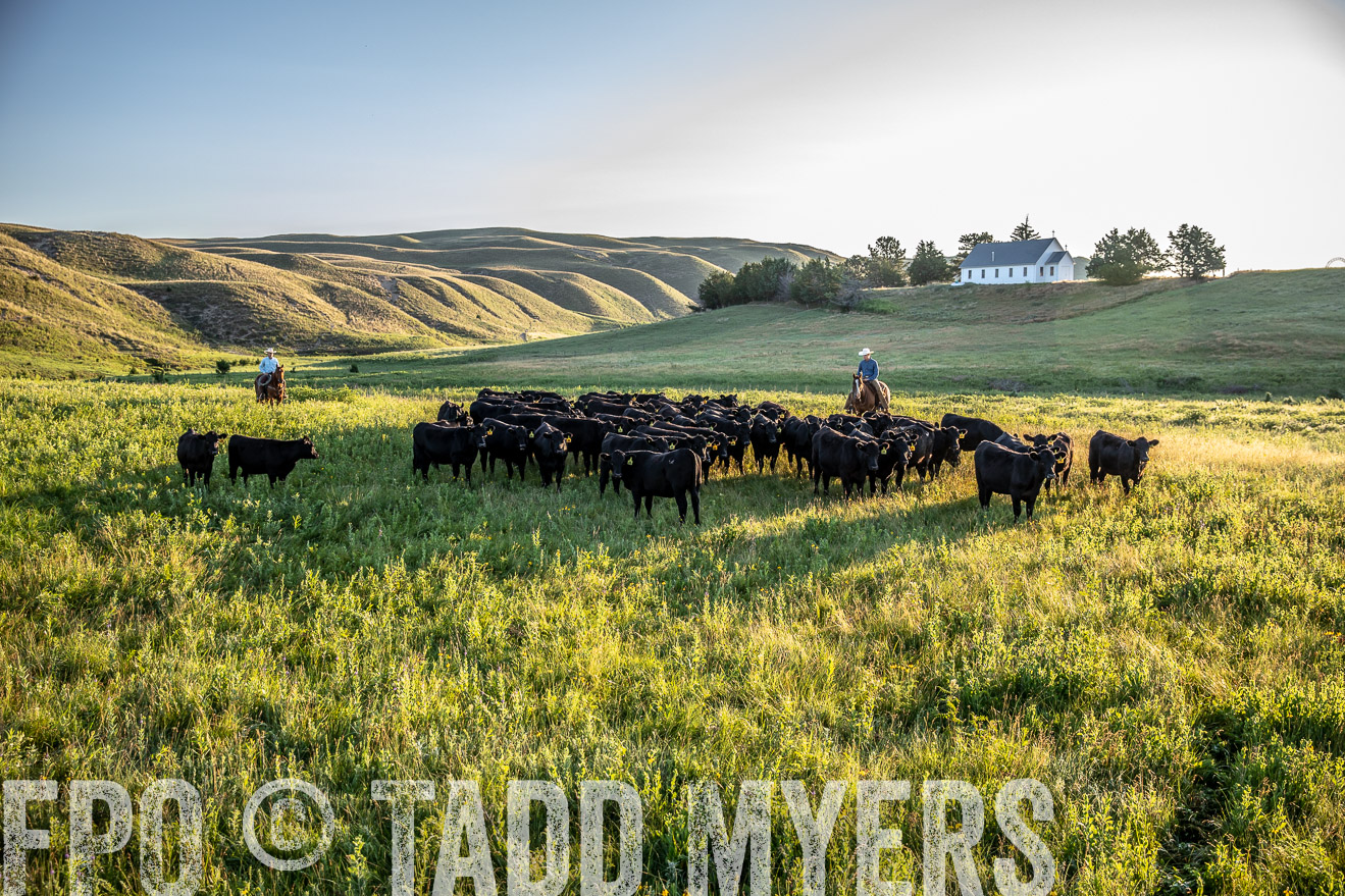 PP_TuckerRanch_NE_July2019-41137
