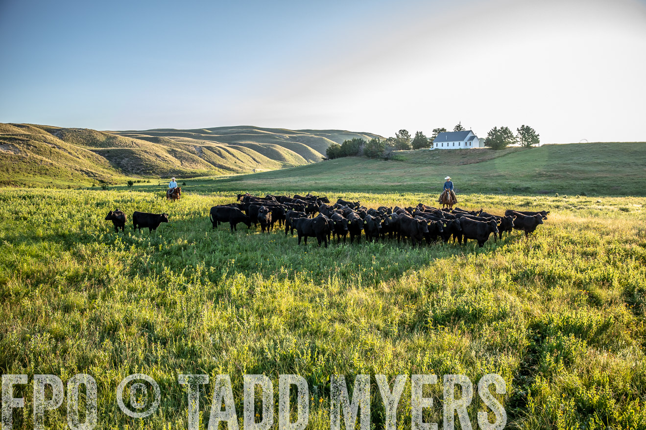 PP_TuckerRanch_NE_July2019-41158
