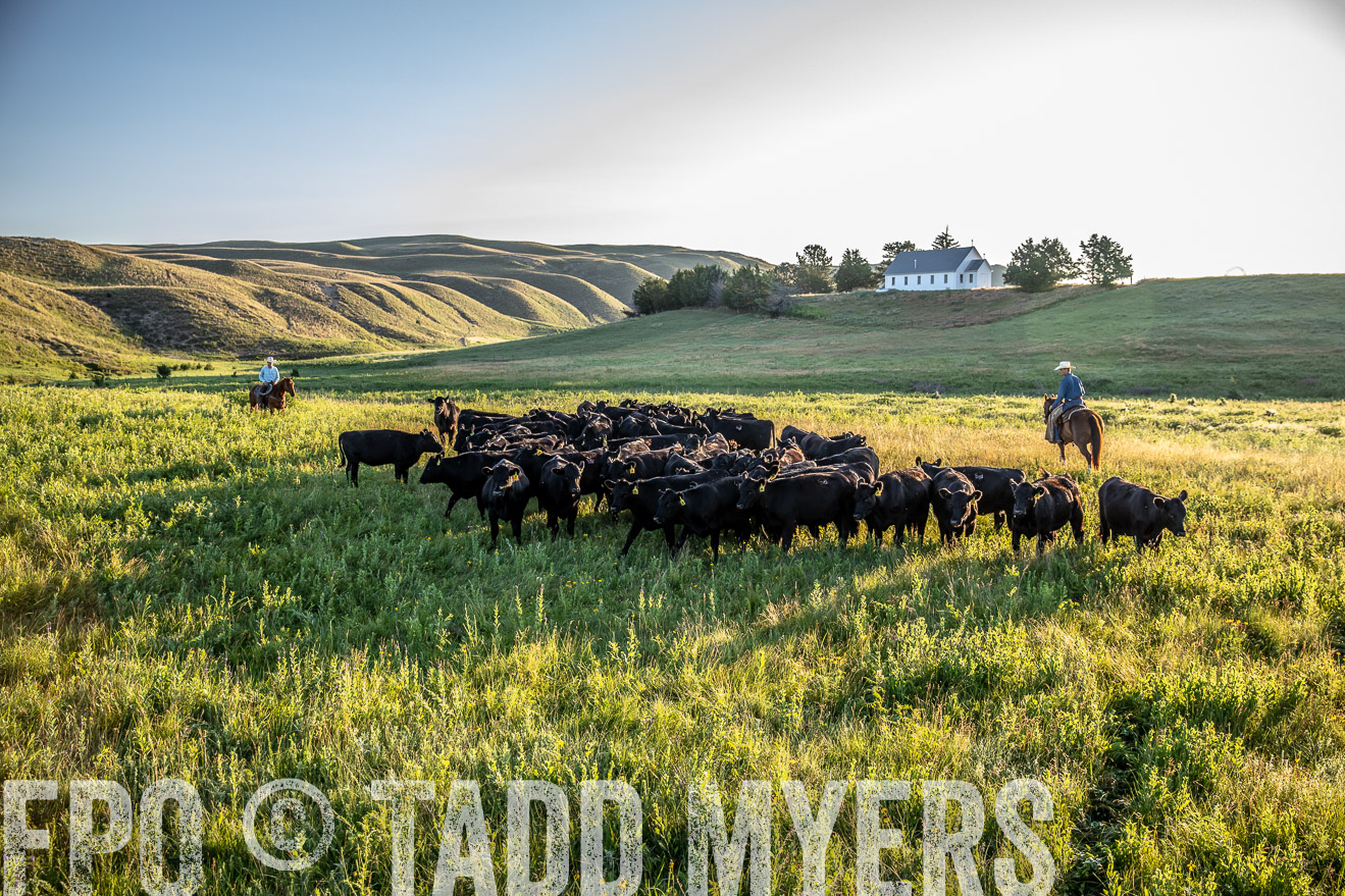 PP_TuckerRanch_NE_July2019-41173