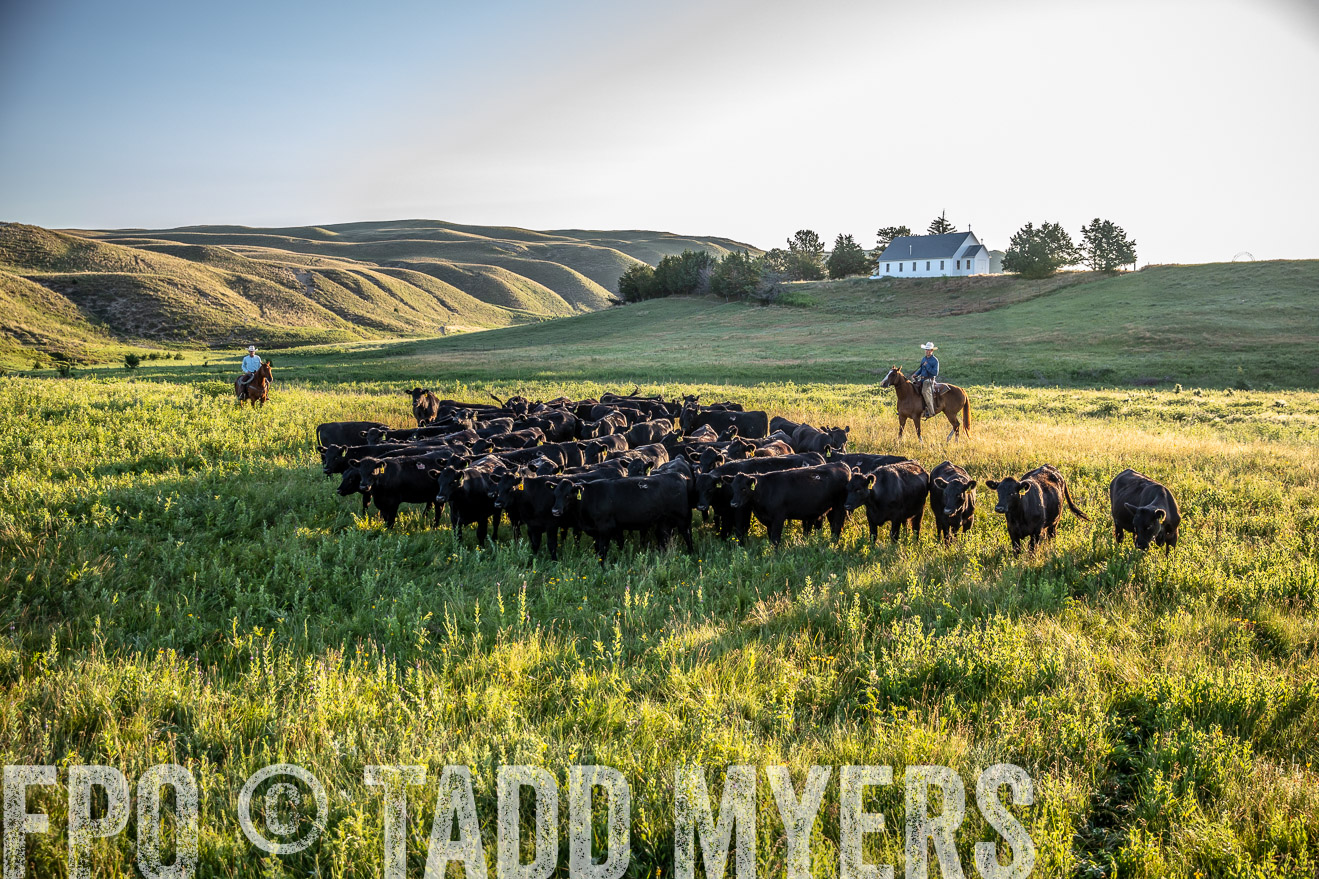 PP_TuckerRanch_NE_July2019-41179