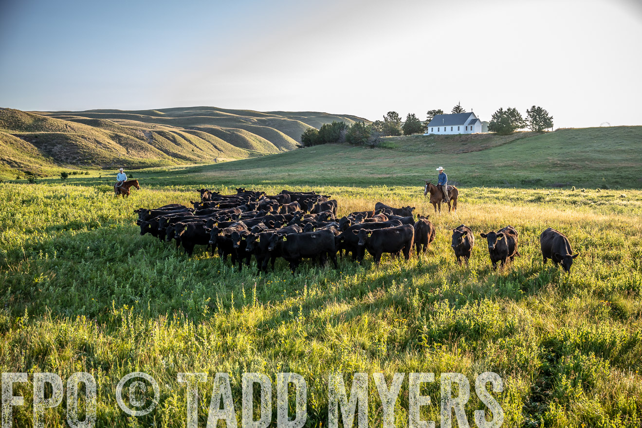 PP_TuckerRanch_NE_July2019-41185