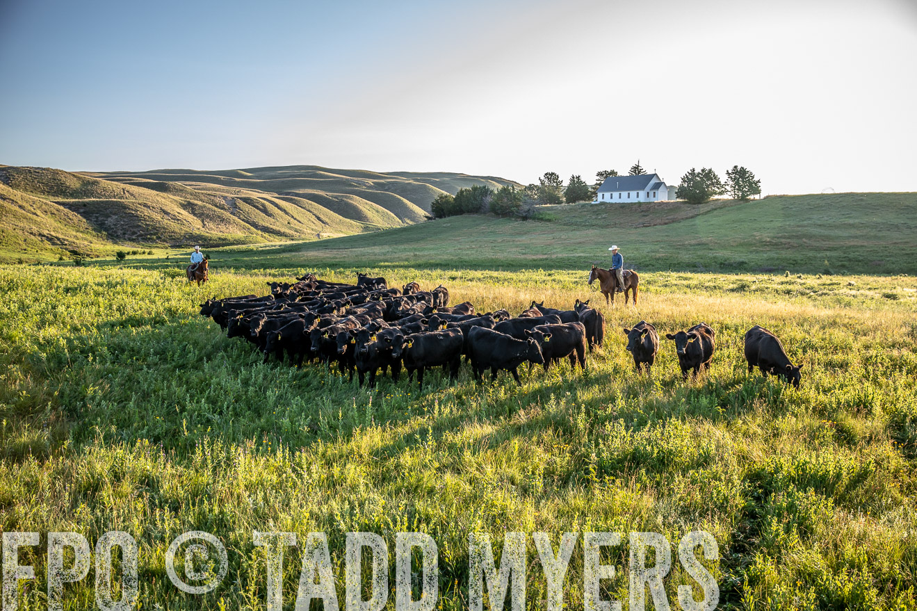 PP_TuckerRanch_NE_July2019-41203