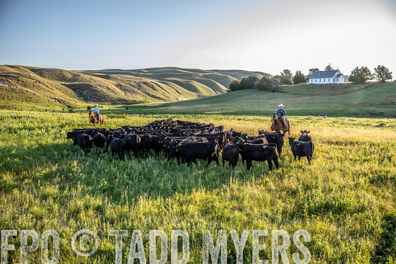 PP_TuckerRanch_NE_July2019-41215