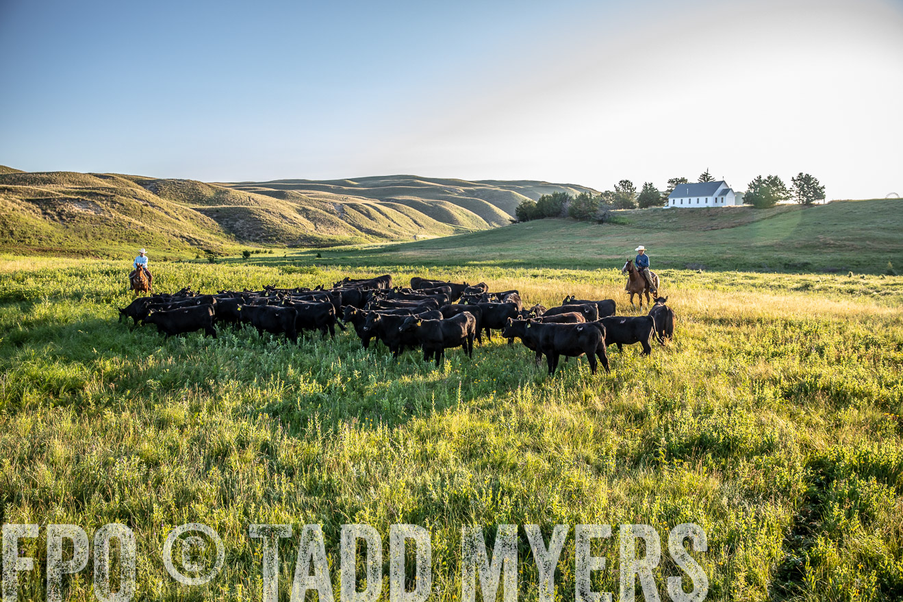 PP_TuckerRanch_NE_July2019-41224