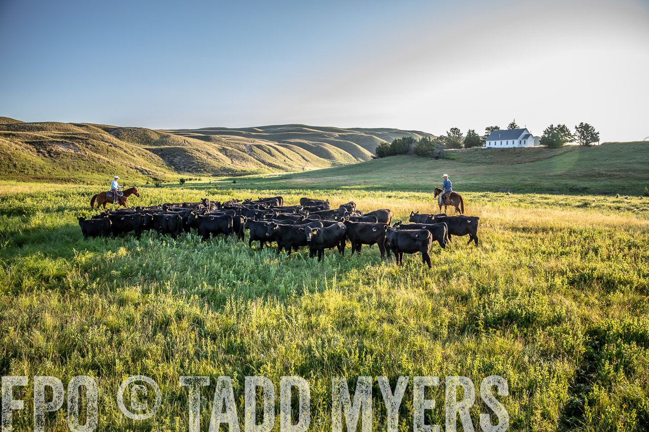 PP_TuckerRanch_NE_July2019-41227