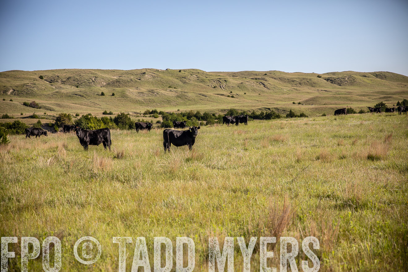 PP_TuckerRanch_NE_July2019-41726