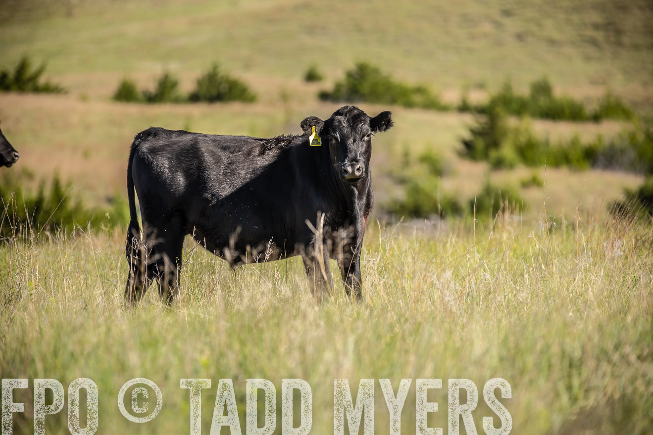 PP_TuckerRanch_NE_July2019-41733