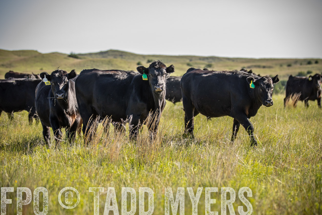 PP_TuckerRanch_NE_July2019-41750