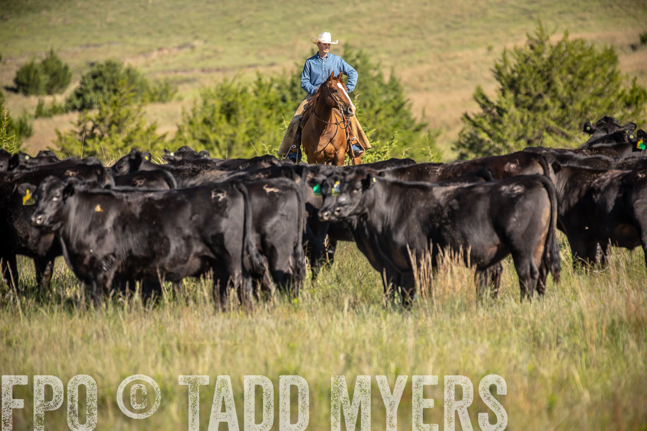 PP_TuckerRanch_NE_July2019-41773