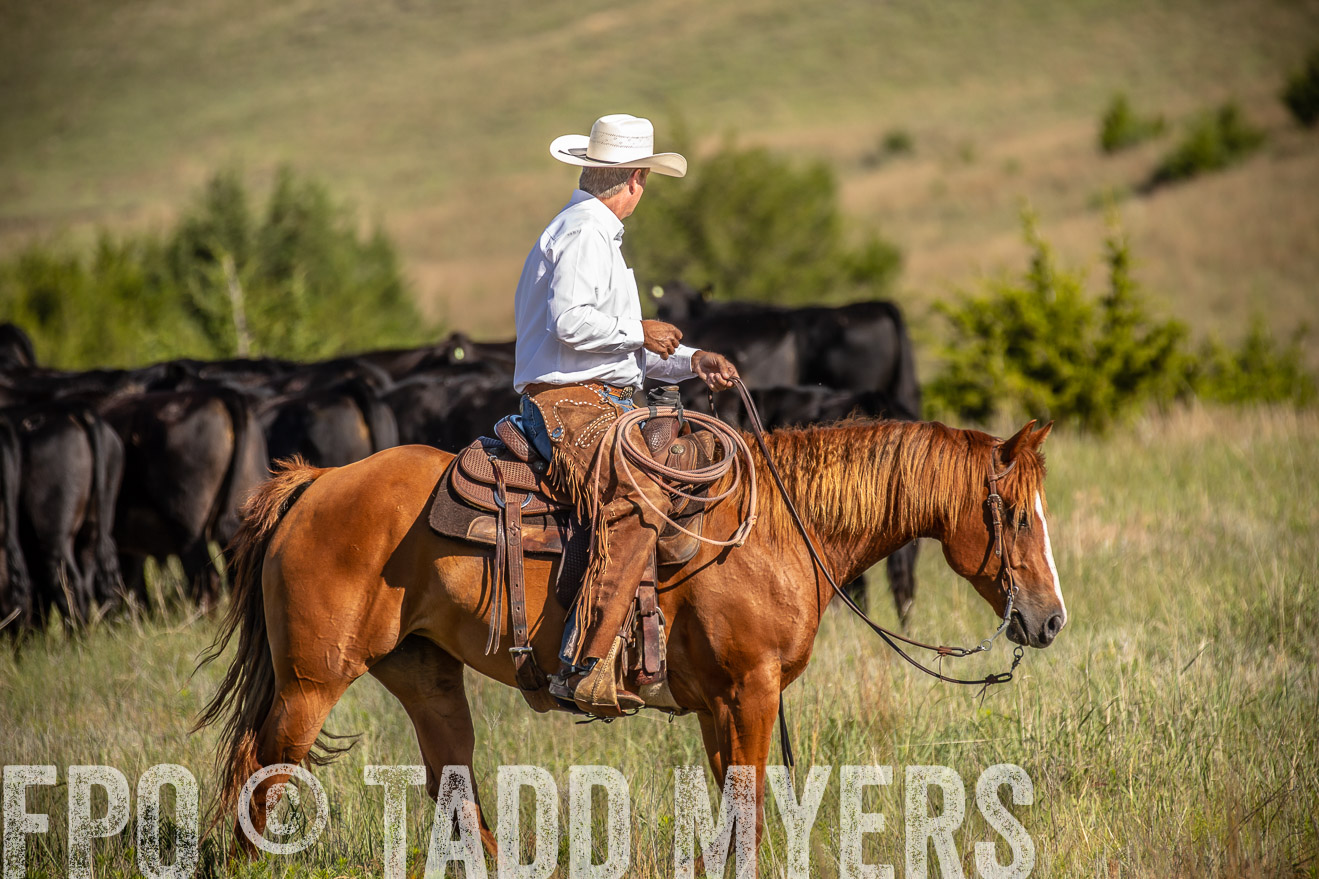 PP_TuckerRanch_NE_July2019-41780