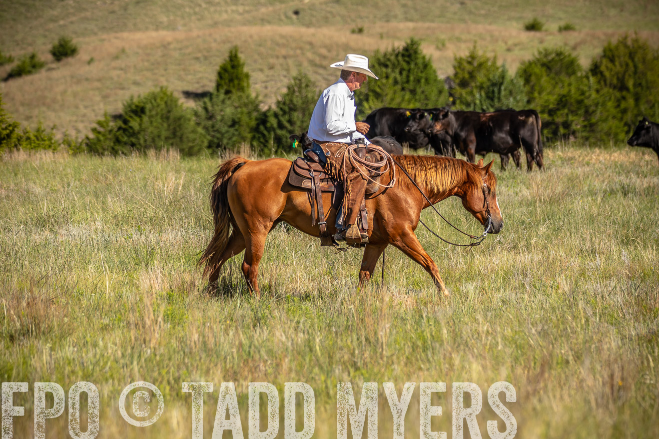 PP_TuckerRanch_NE_July2019-41782