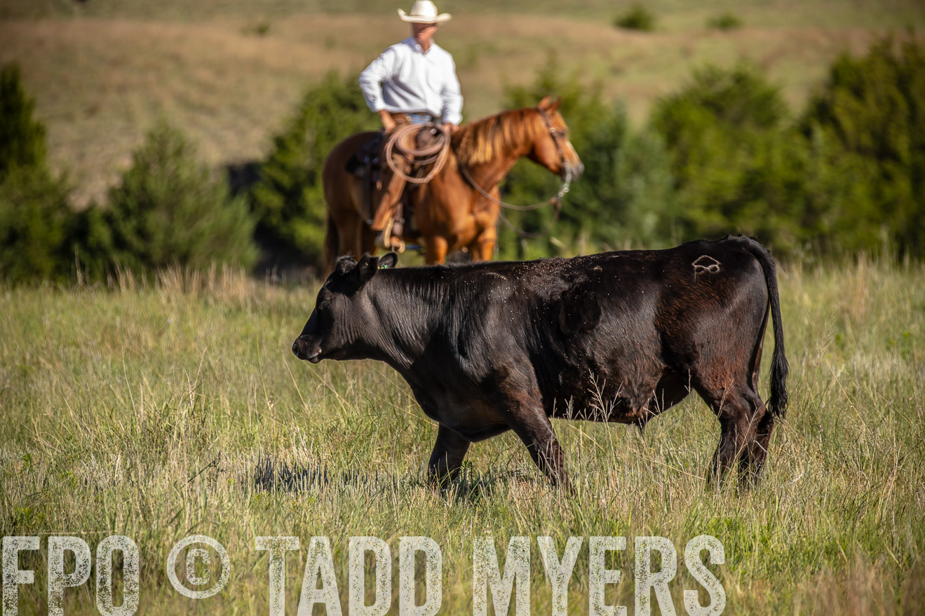PP_TuckerRanch_NE_July2019-41788