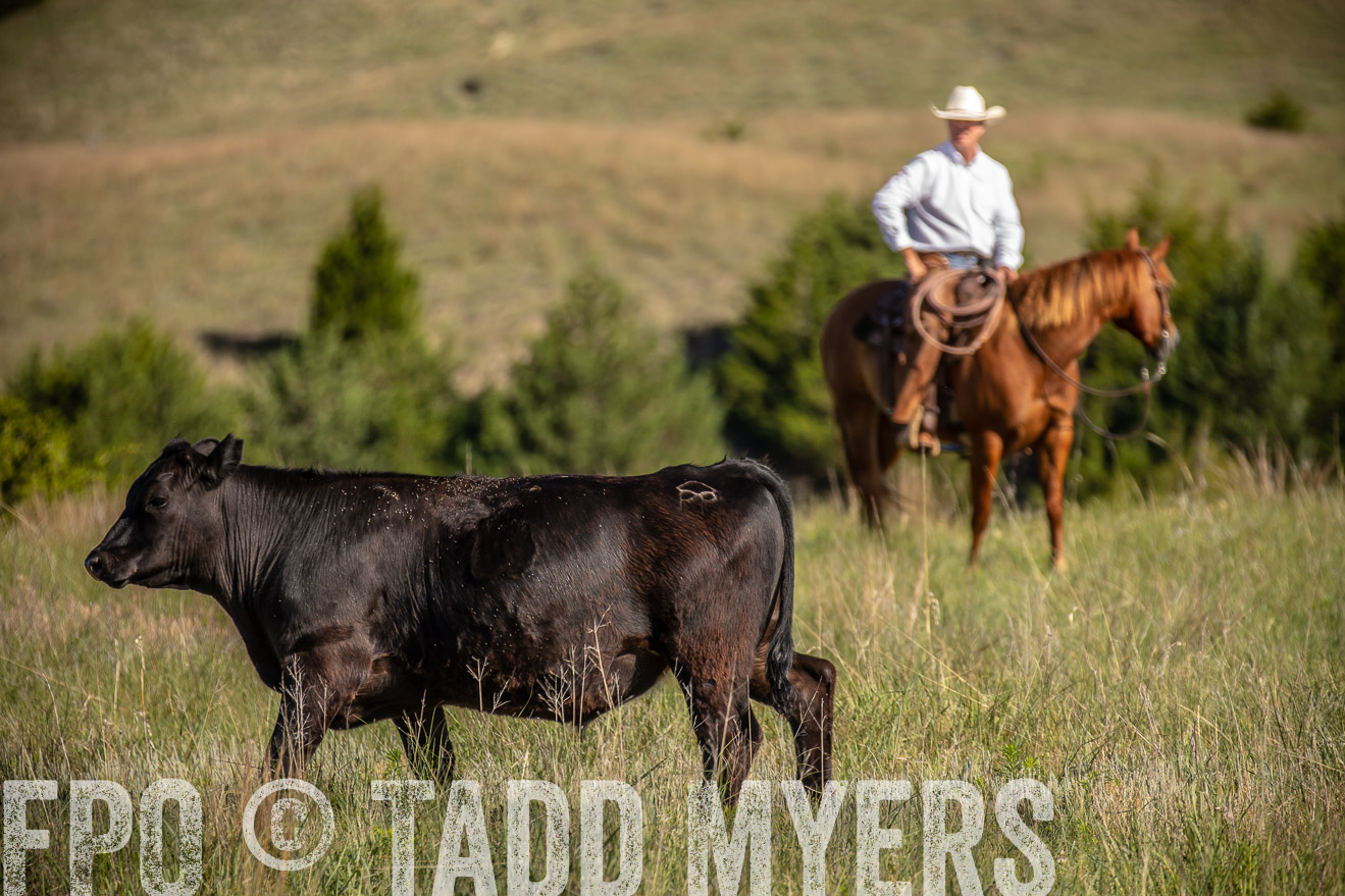 PP_TuckerRanch_NE_July2019-41791