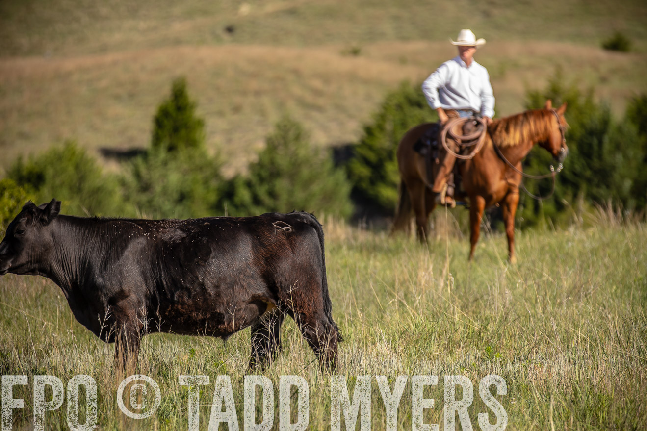 PP_TuckerRanch_NE_July2019-41792