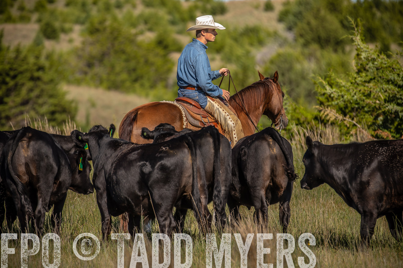 PP_TuckerRanch_NE_July2019-41795