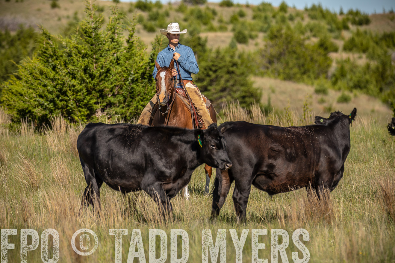 PP_TuckerRanch_NE_July2019-41797