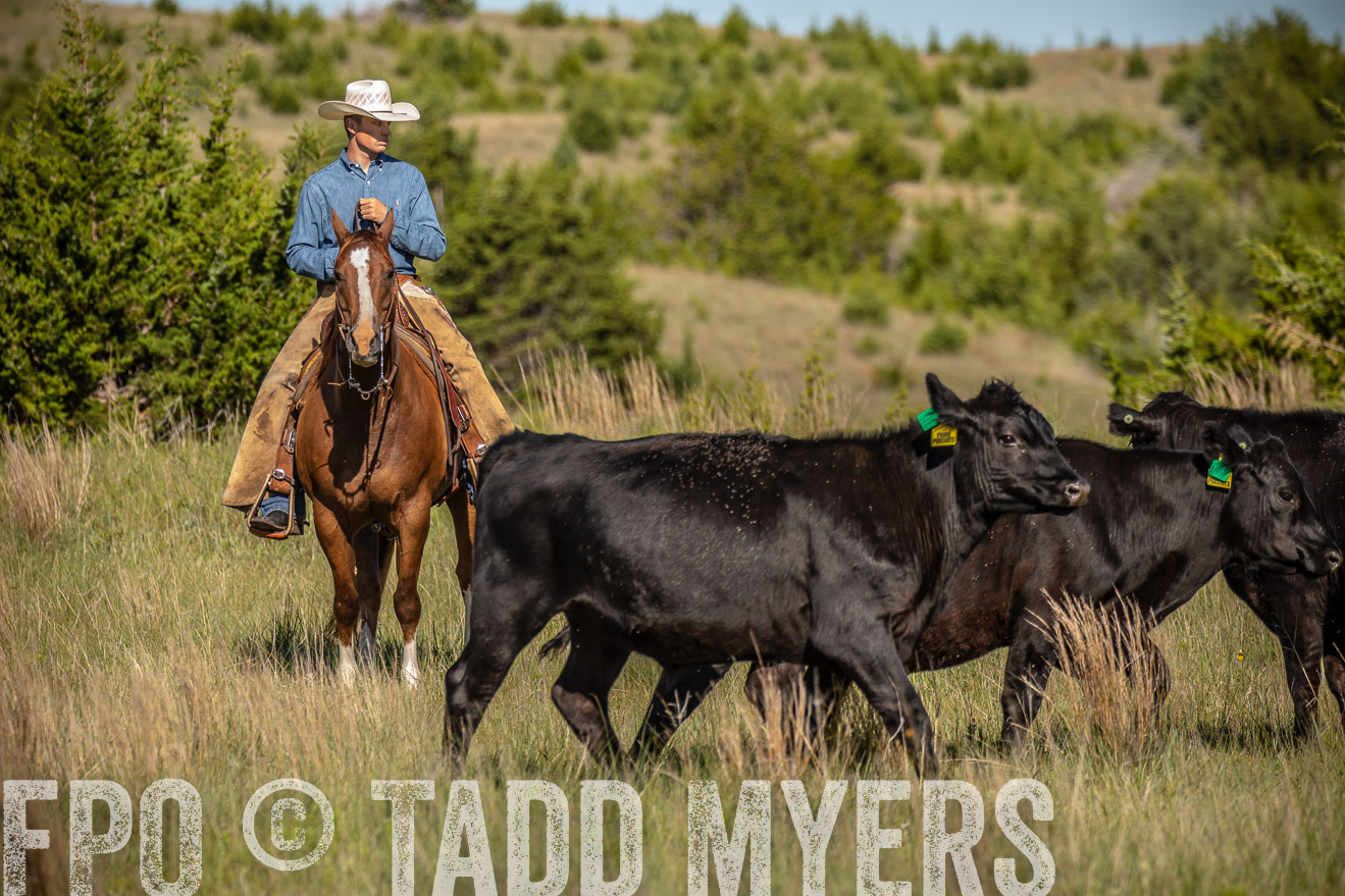 PP_TuckerRanch_NE_July2019-41798