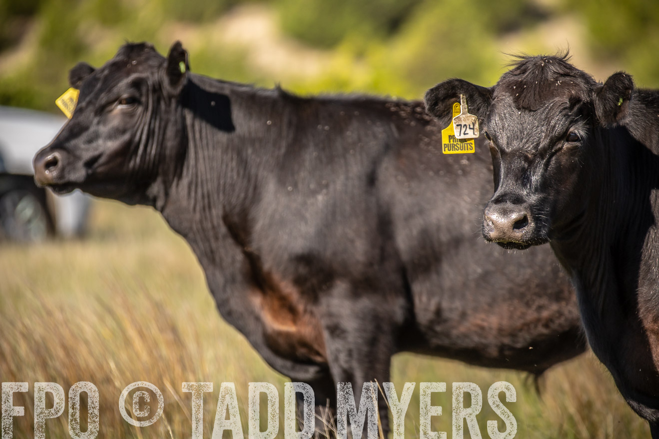 PP_TuckerRanch_NE_July2019-41821