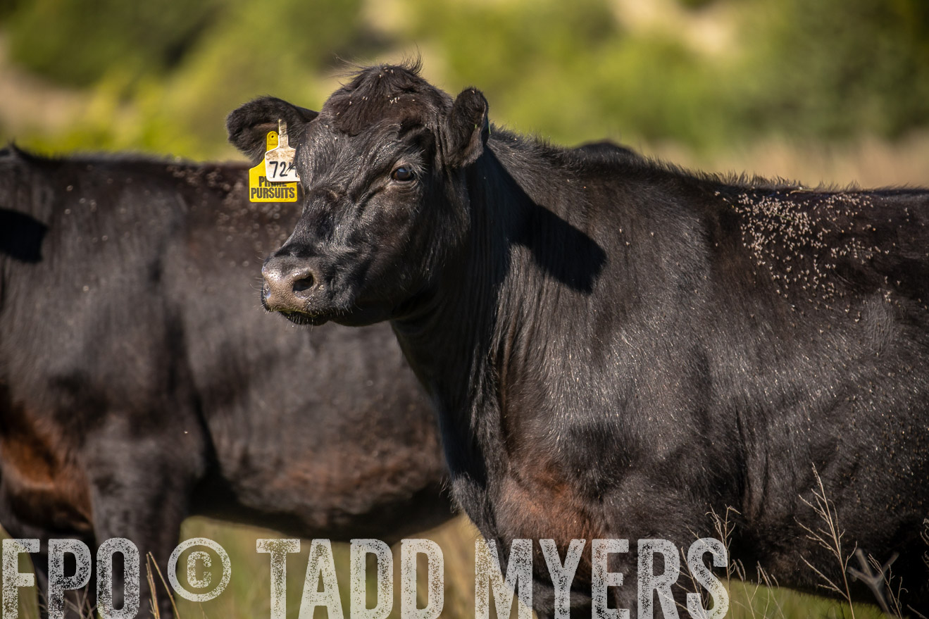 PP_TuckerRanch_NE_July2019-41823