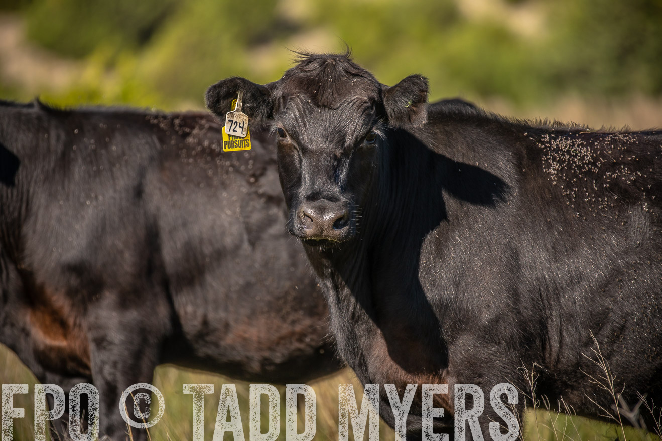 PP_TuckerRanch_NE_July2019-41826
