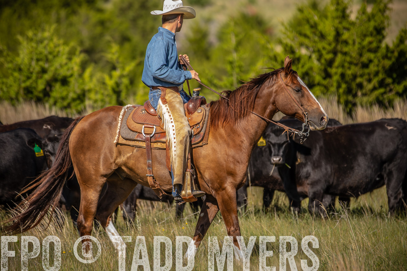 PP_TuckerRanch_NE_July2019-41835