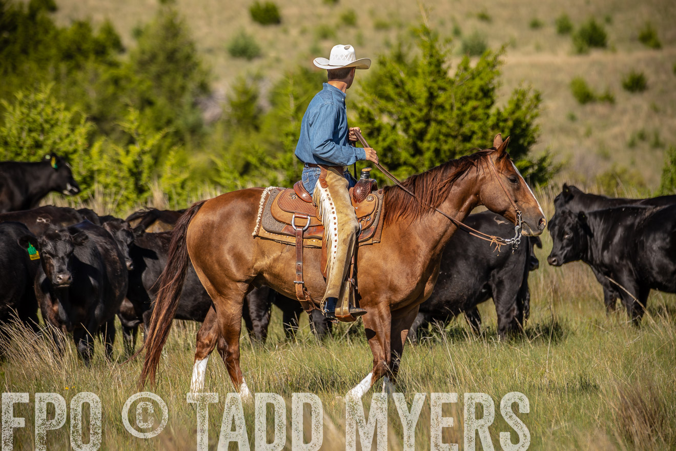 PP_TuckerRanch_NE_July2019-41836
