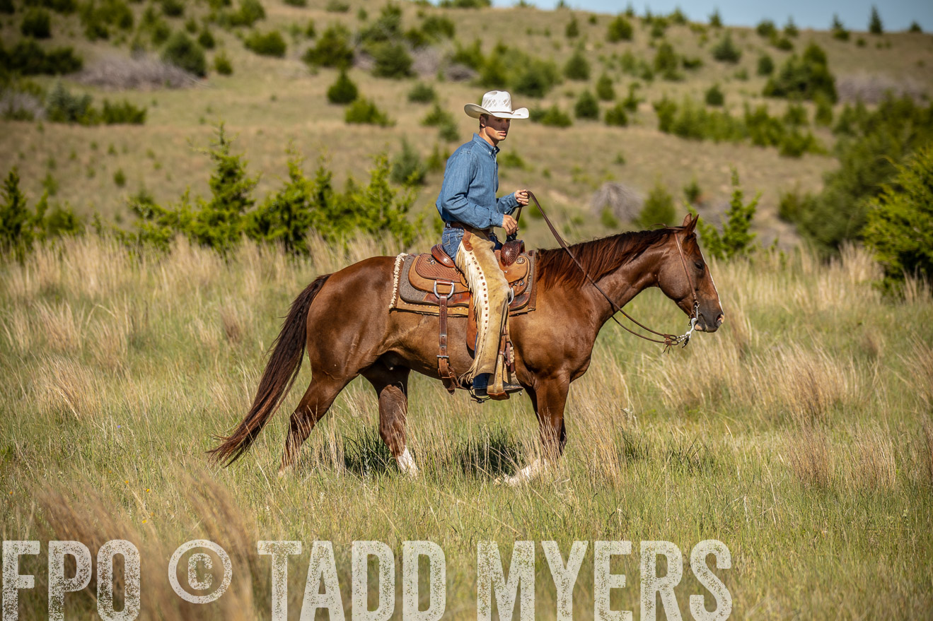 PP_TuckerRanch_NE_July2019-41838