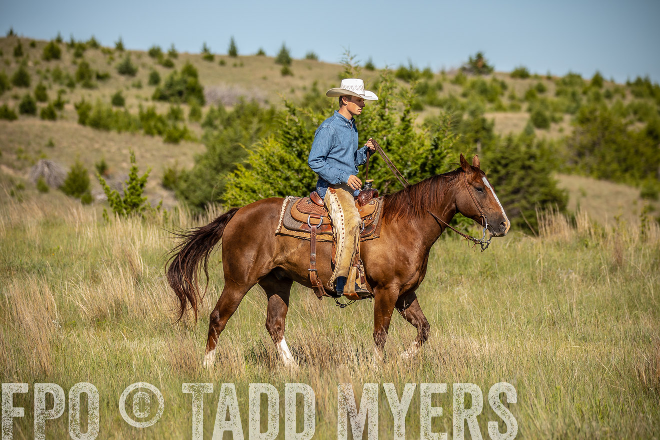 PP_TuckerRanch_NE_July2019-41840
