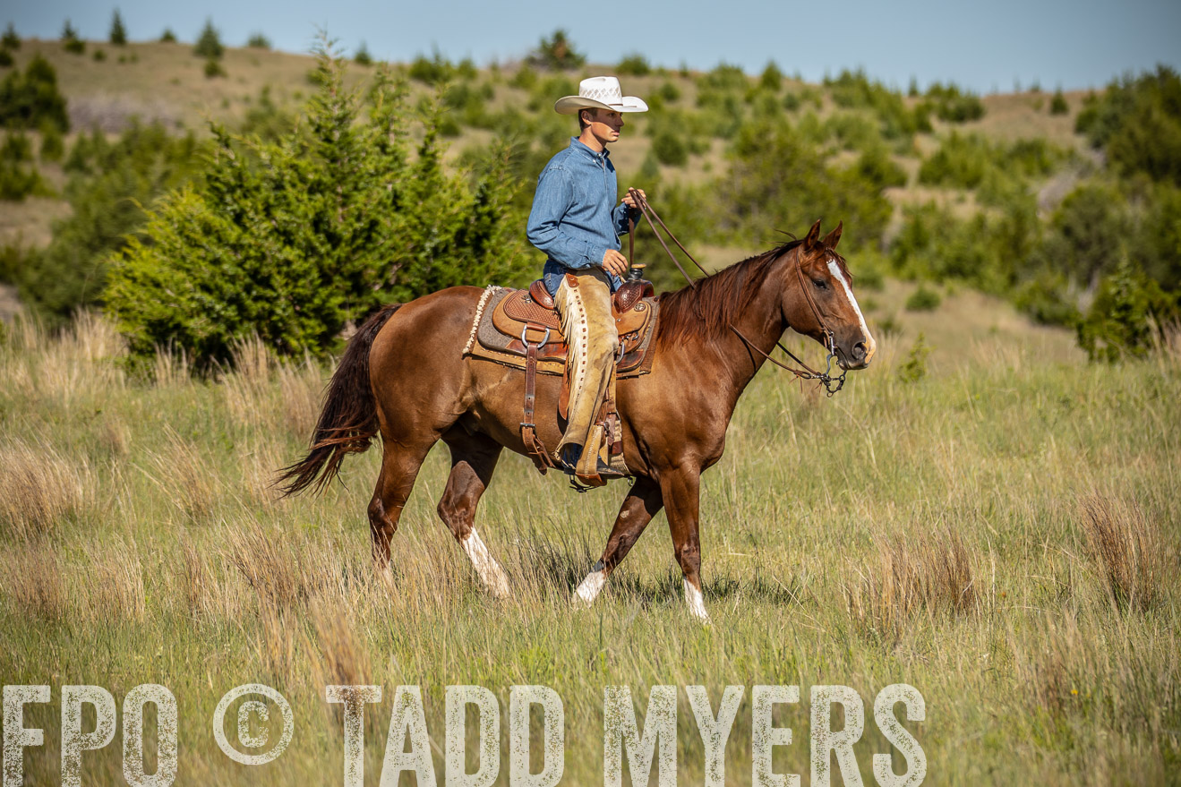 PP_TuckerRanch_NE_July2019-41841