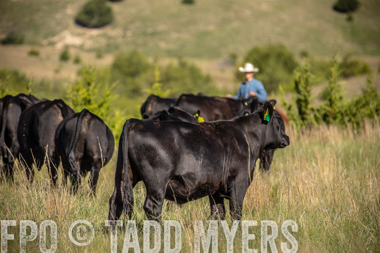 PP_TuckerRanch_NE_July2019-41864
