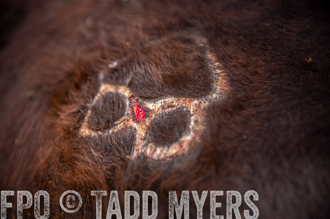 PP_TuckerRanch_NE_July2019-41905