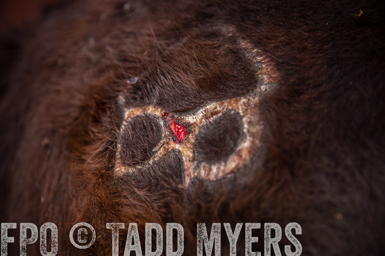 PP_TuckerRanch_NE_July2019-41910