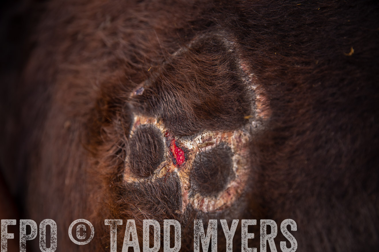 PP_TuckerRanch_NE_July2019-41917