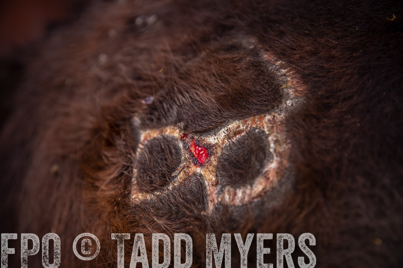 PP_TuckerRanch_NE_July2019-41922