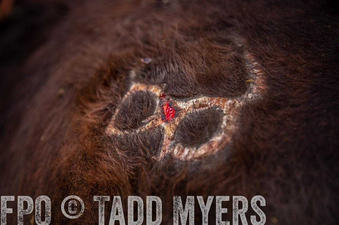 PP_TuckerRanch_NE_July2019-41928