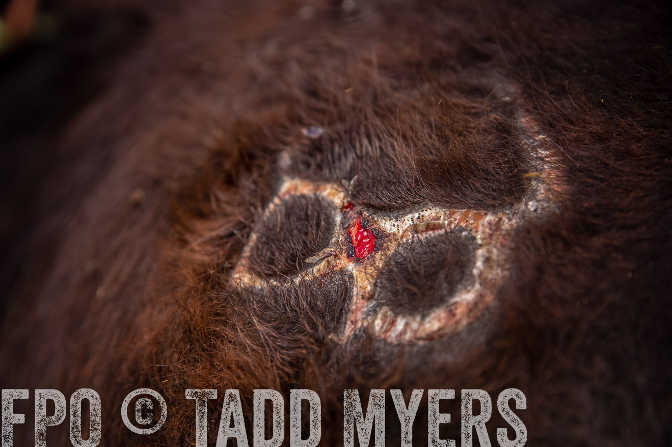 PP_TuckerRanch_NE_July2019-41930