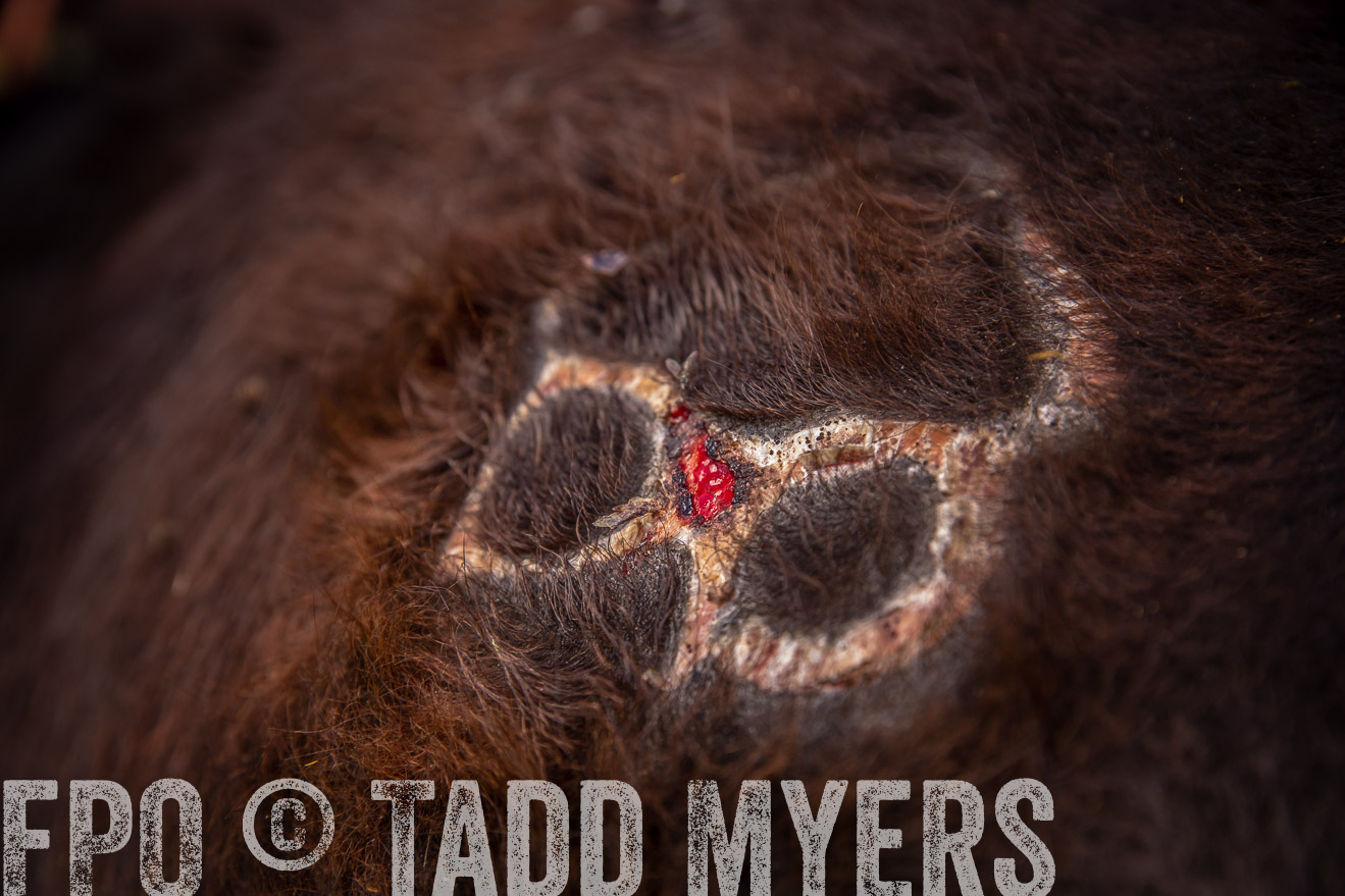 PP_TuckerRanch_NE_July2019-41931