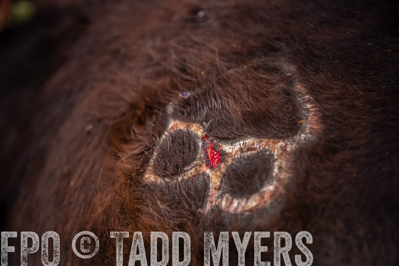 PP_TuckerRanch_NE_July2019-41933