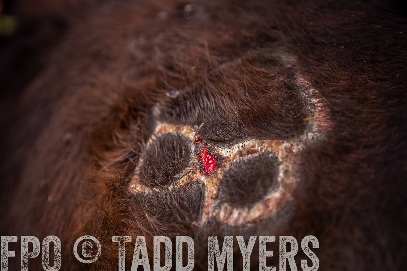 PP_TuckerRanch_NE_July2019-41937