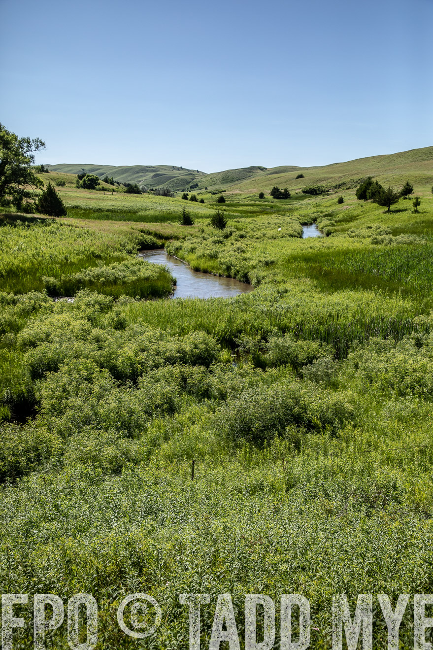 PP_TuckerRanch_NE_July2019-41951