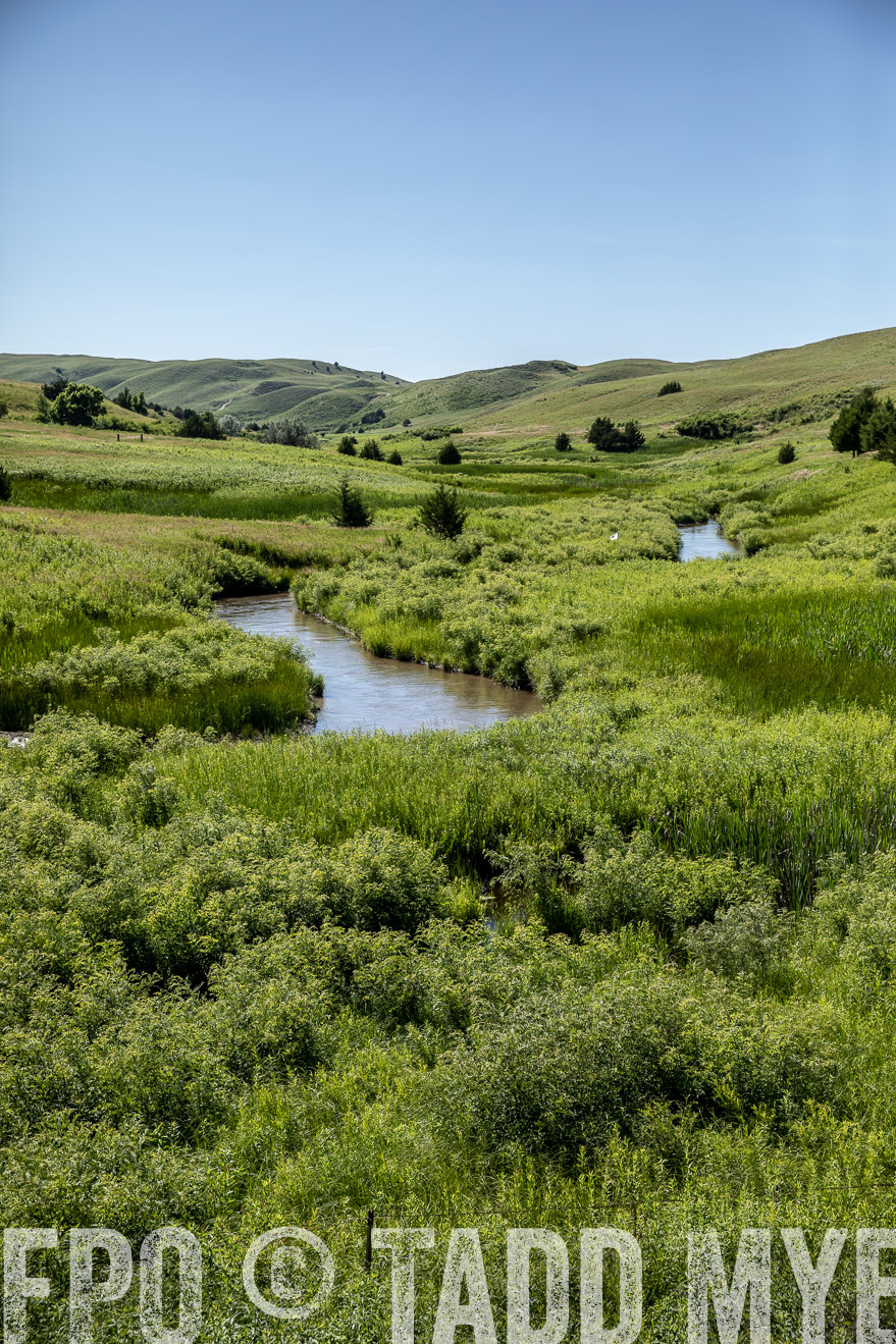 PP_TuckerRanch_NE_July2019-41952